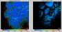 nanosims:lans_extras:screenshots:hue-modulation1.png