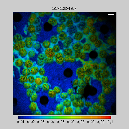 nanosims:lans_extras:screenshots:lans-hue-modulation4.png