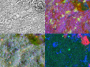 nanosims:meteorites:h36_zoom.png